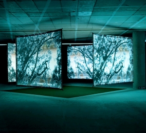 video-art